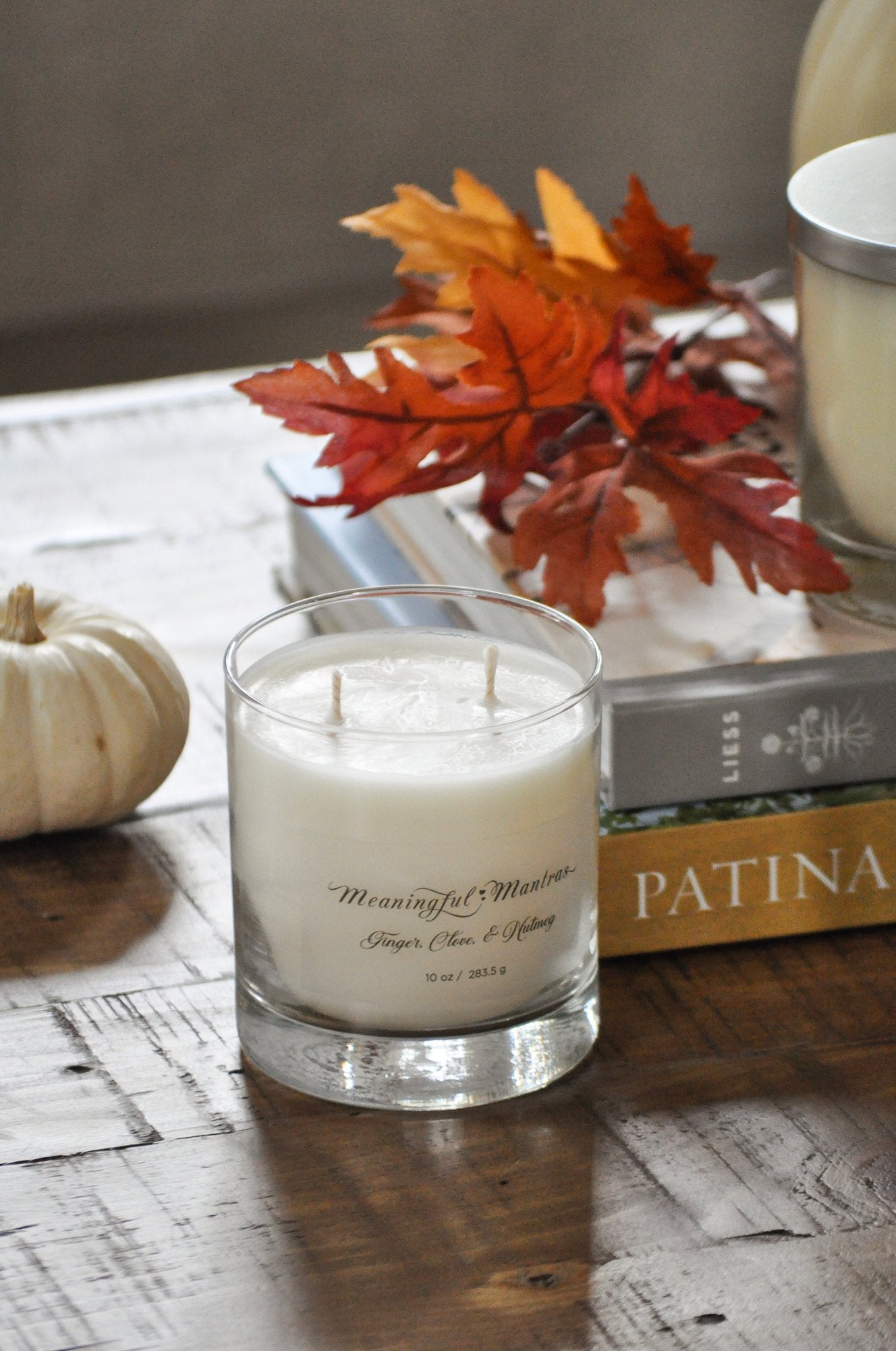 Ginger, Clove, & Nutmeg 10oz Minimal Aromatherapy Candle - Vegan America