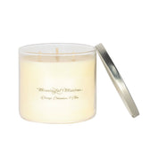 3-Wick Orange, Cinnamon, & Clove 16oz Candle - Vegan America