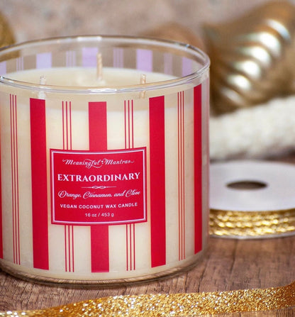 Festive 3 - Wick Orange, Cinnamon, & Clove 16oz Candle - Vegan America