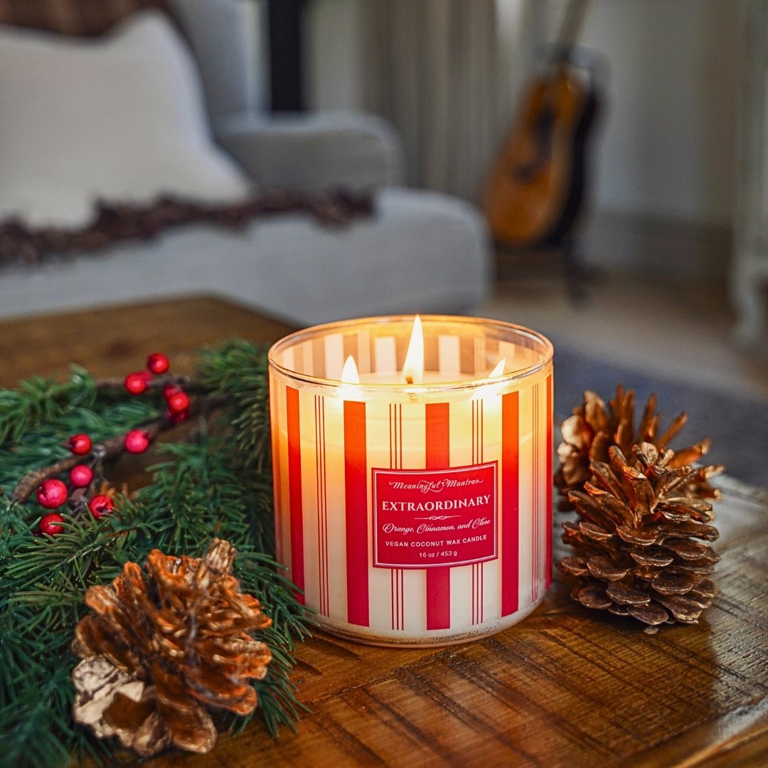 Festive 3 - Wick Orange, Cinnamon, & Clove 16oz Candle - Vegan America