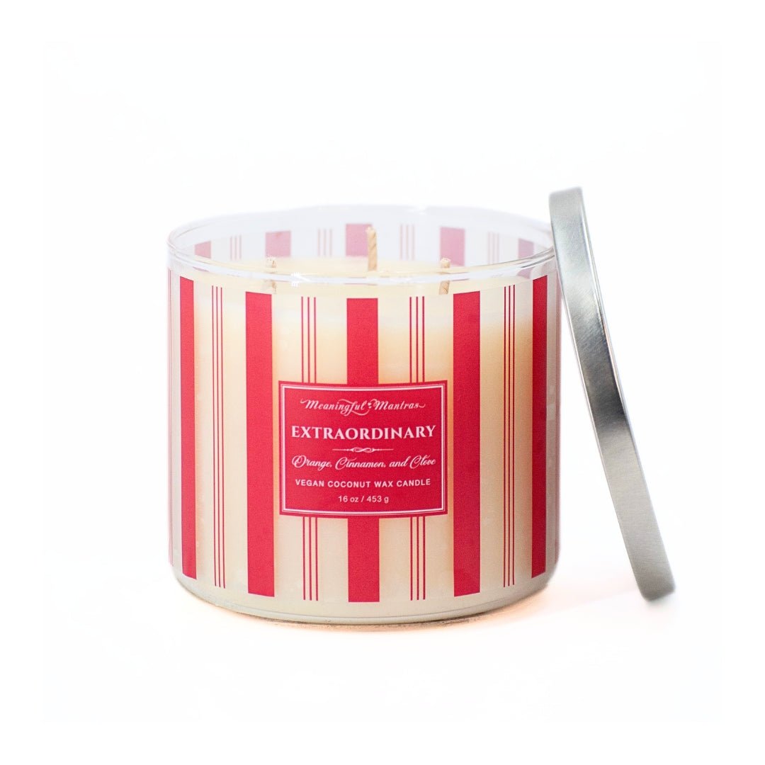 Festive 3 - Wick Orange, Cinnamon, & Clove 16oz Candle - Vegan America