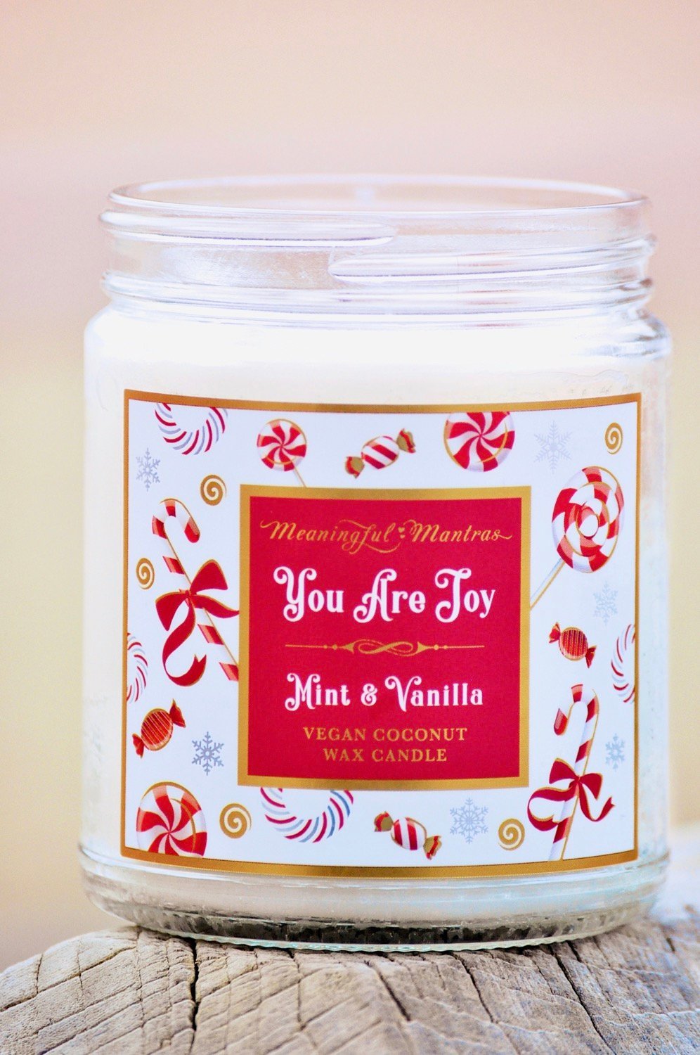 You Are Joy Mint & Vanilla Candle - Vegan America