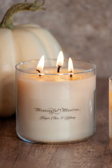 3 - Wick Ginger, Clove, & Nutmeg 16oz Candle - Vegan America