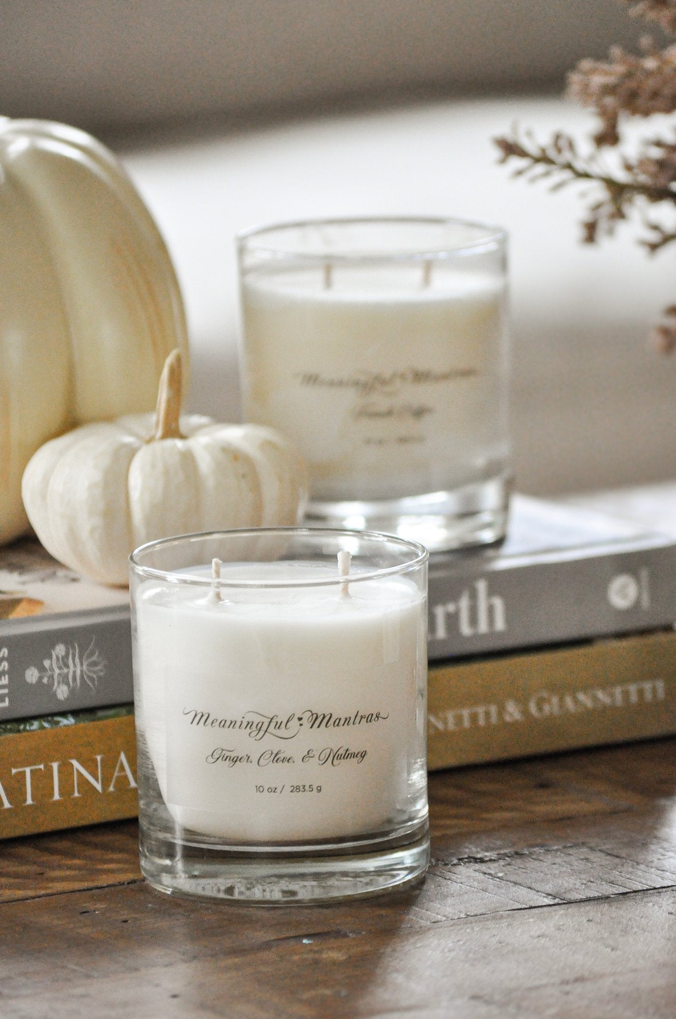 Ginger, Clove, & Nutmeg 10oz Minimal Aromatherapy Candle - Vegan America
