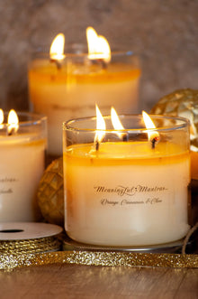 3 - Wick Orange, Cinnamon, & Clove 16oz Candle - Vegan America