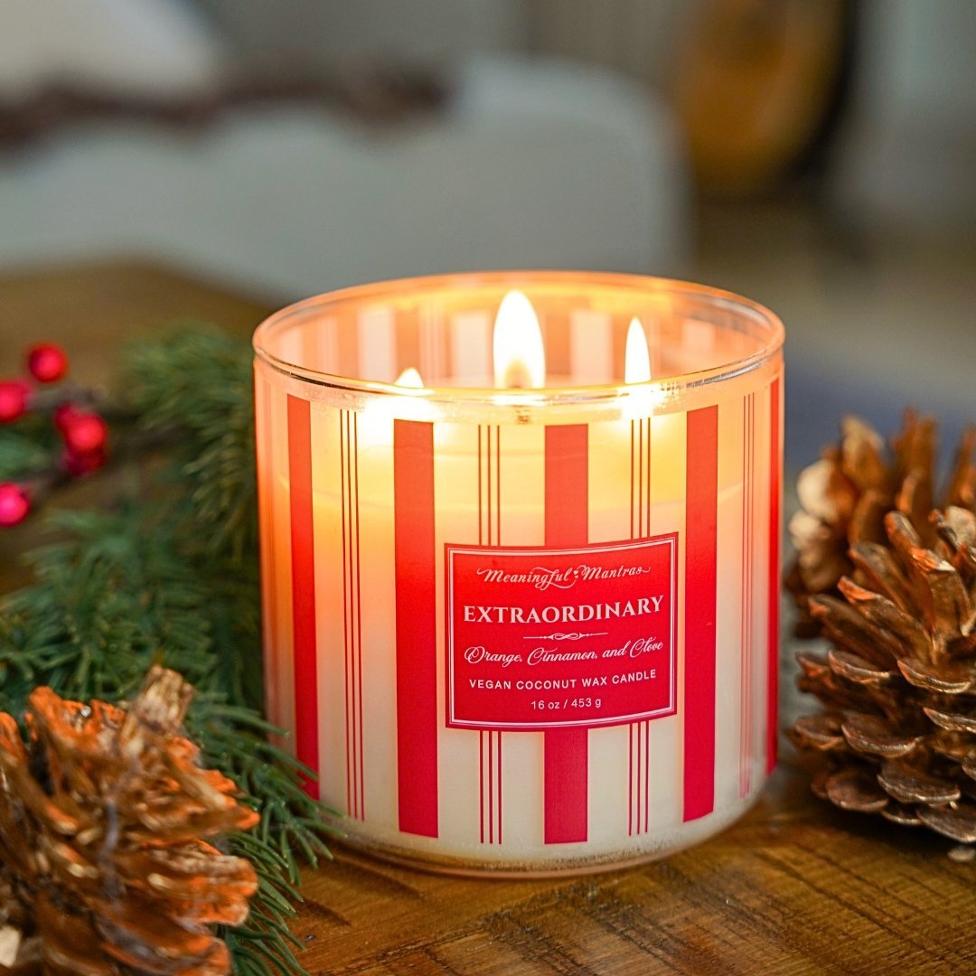 Festive 3 - Wick Orange, Cinnamon, & Clove 16oz Candle - Vegan America