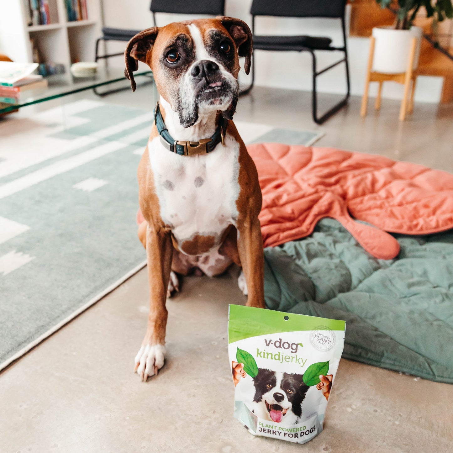 V-DOG - kind jerky