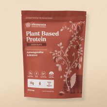 Plant Based Protein Powder: Chocolate (21 Servings) - Vegan America