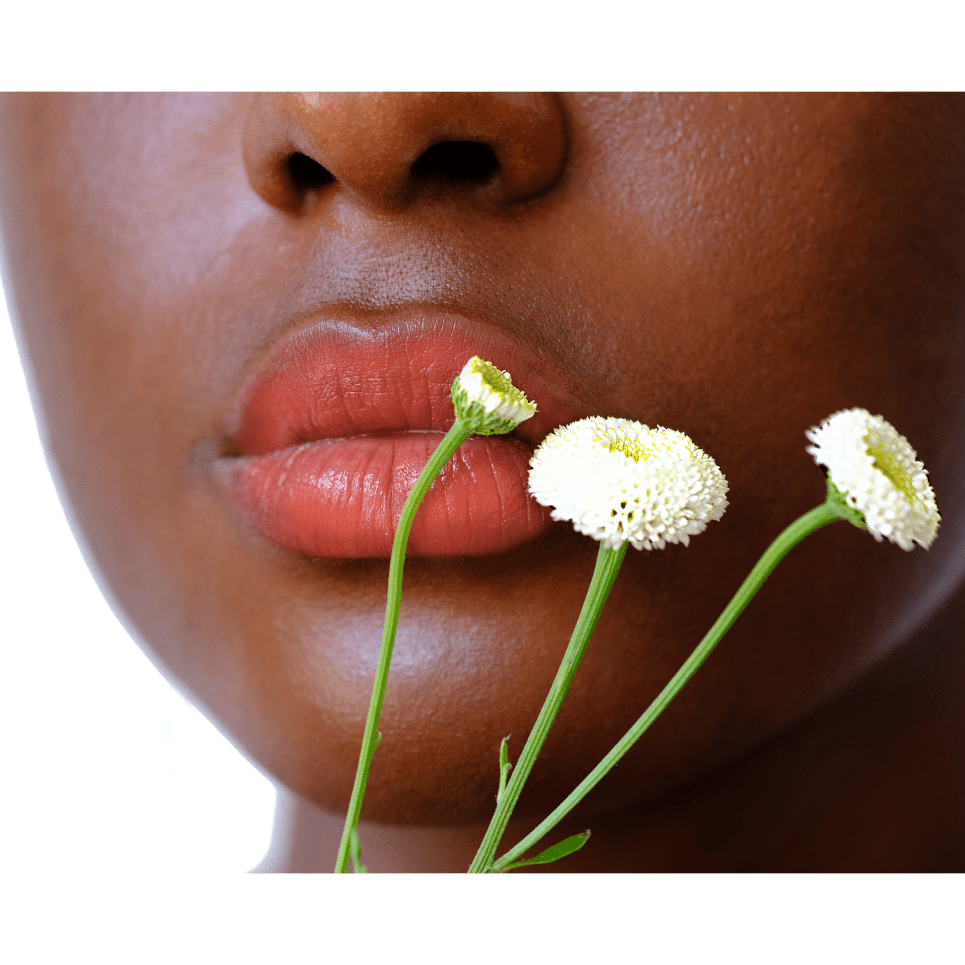 Vegan Multistick Makeup for Cheeks & Lips - Vegan America