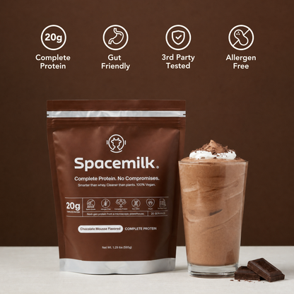 Protein | Chocolate Mousse