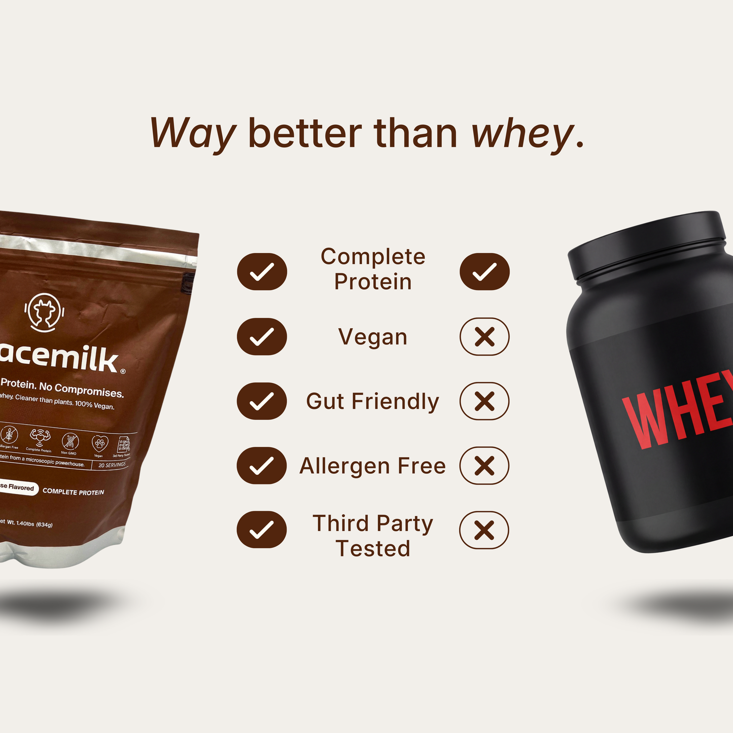 Protein | Chocolate Mousse