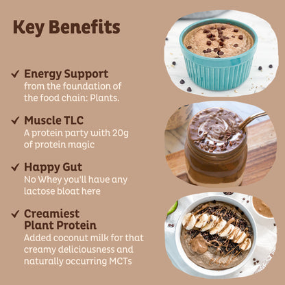 Organic Plant Protein, Chocolate, 28 Servings