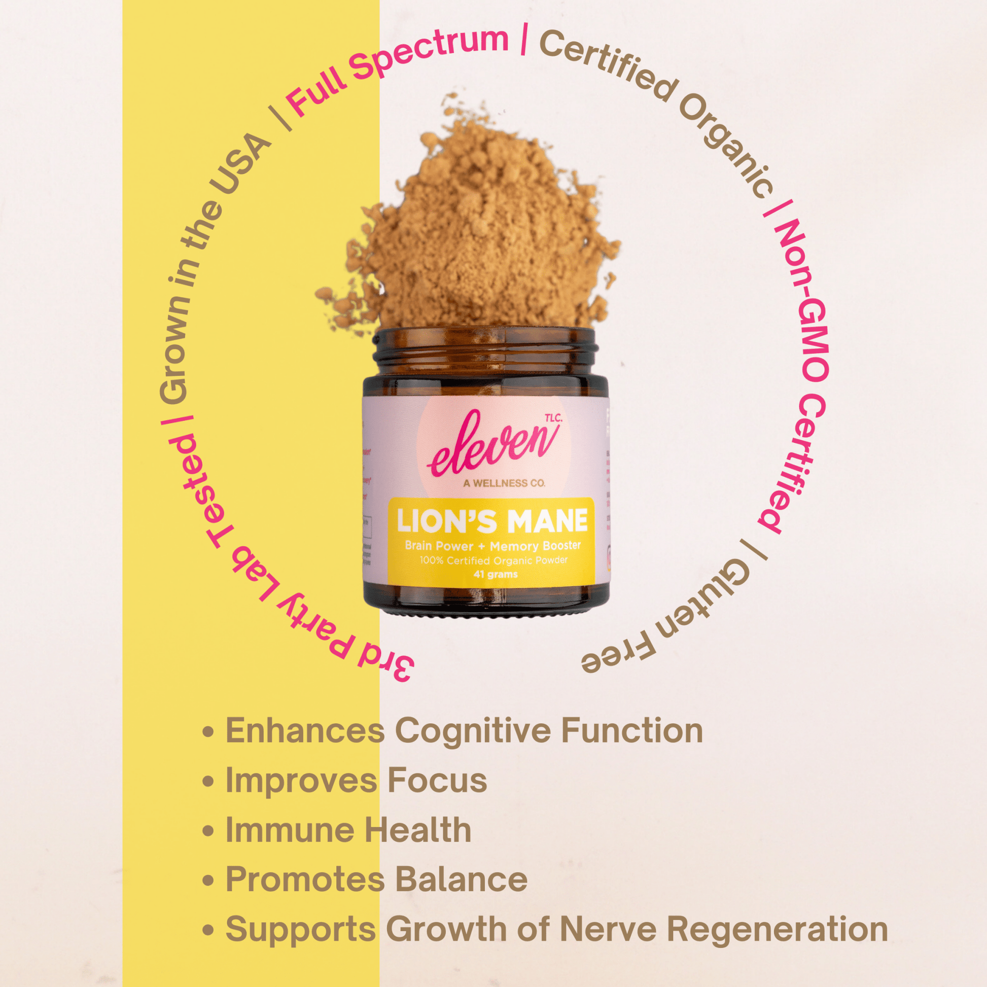 Organic Mushroom Powder Bundle | Chaga, Reishi, Cordyceps, & Lion's Mane Superfoods - Vegan America