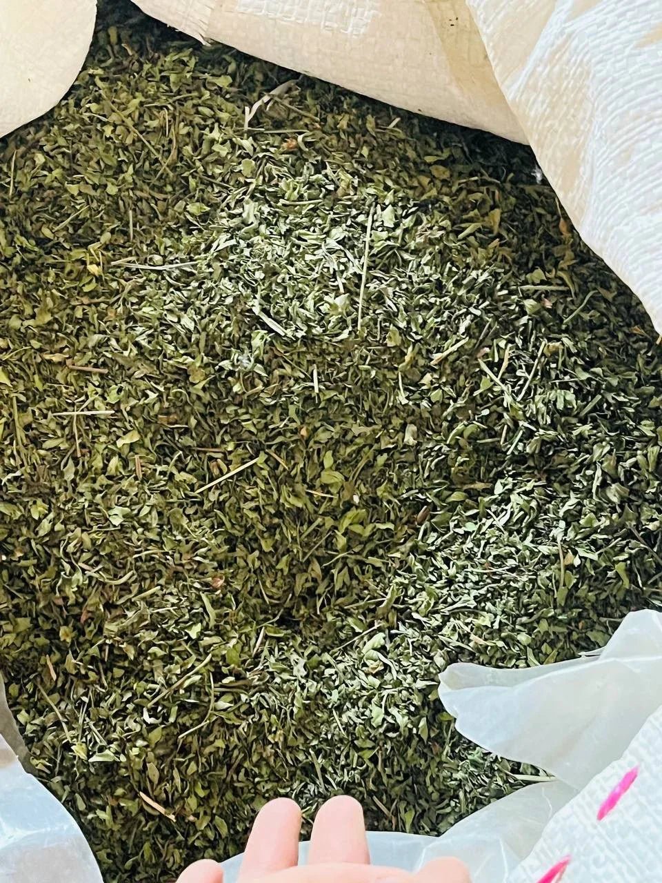 Herati Mint Leaves Extra Aromatic - Single Origin - Vegan America