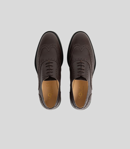 Oxford Brogue - Man