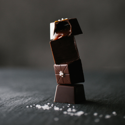 **VEGAN** 16 Piece Sea Salt Caramel Dark Chocolate Gift Box