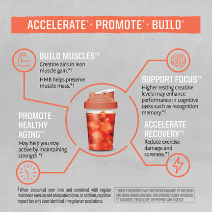 Active HMB + Creatine Powder