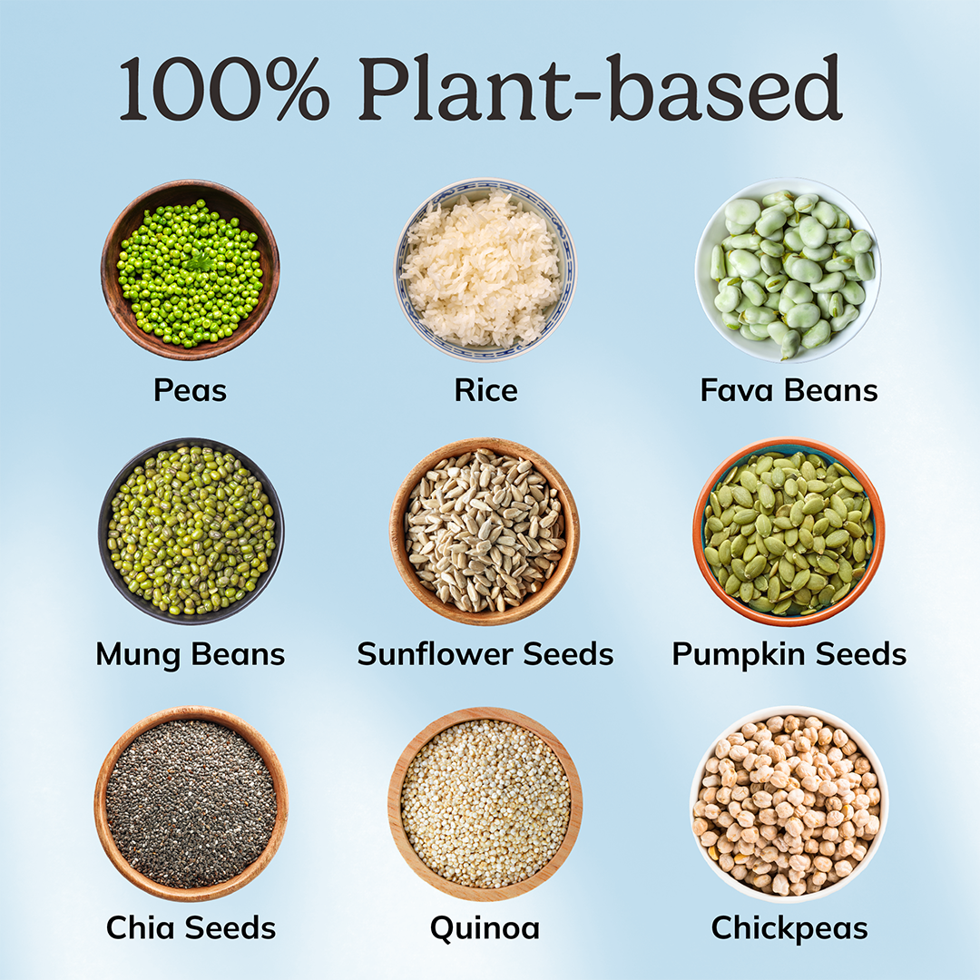 LiveComplete Pancake & Waffle Mix - Performance Blend - Blueberry