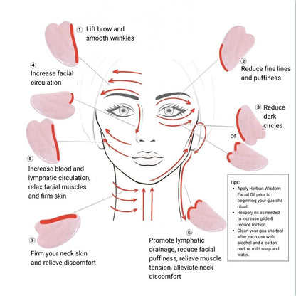 Gua Sha Tool - Vegan America