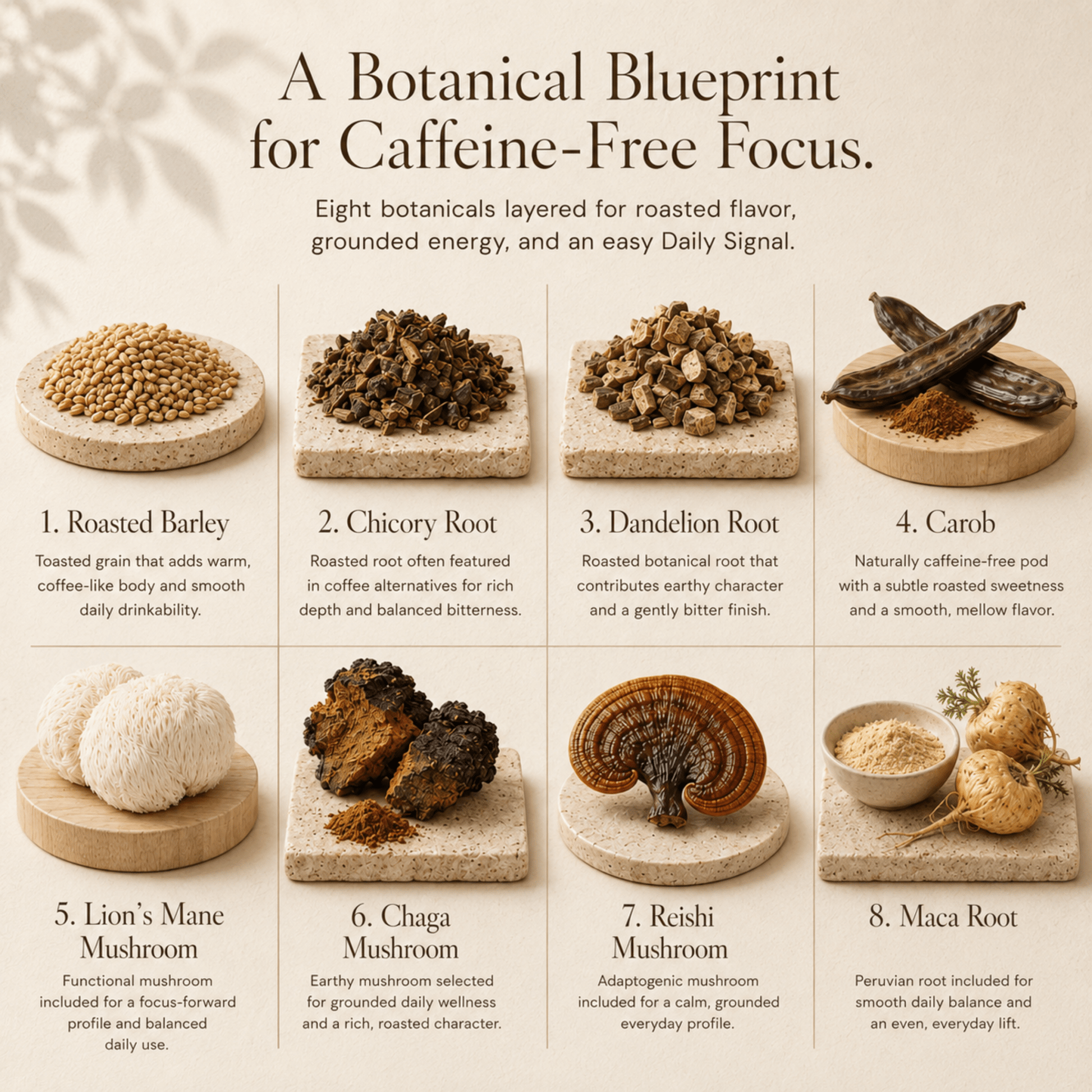 Shroomie 8-Adaptogen Superfood Blend | 500g Bulk Food Service Bag - Vegan America