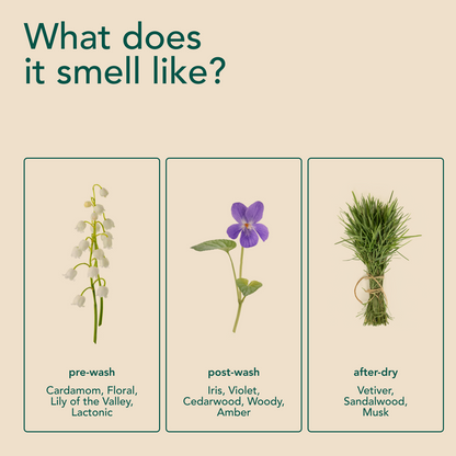 Free Scent Booster Mini Kit