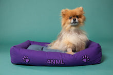 2nd Nature Pet Bed - Vegan America