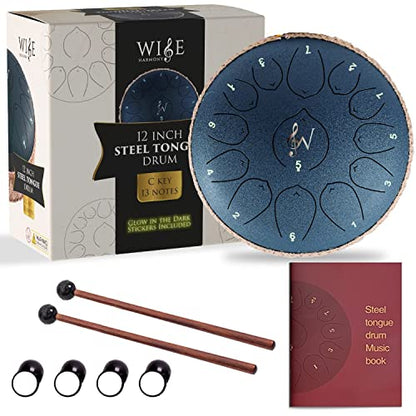 Wise Harmony 12 Inch Steel Tongue Rain Drum