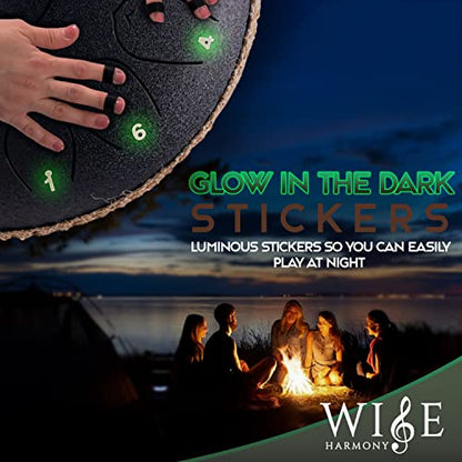 Wise Harmony 12 Inch Steel Tongue Rain Drum