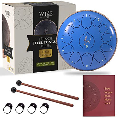 Wise Harmony 12 Inch Steel Tongue Rain Drum