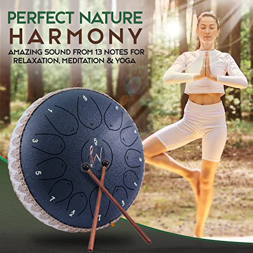 Wise Harmony 12 Inch Steel Tongue Rain Drum