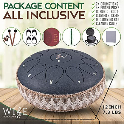 Wise Harmony 12 Inch Steel Tongue Rain Drum