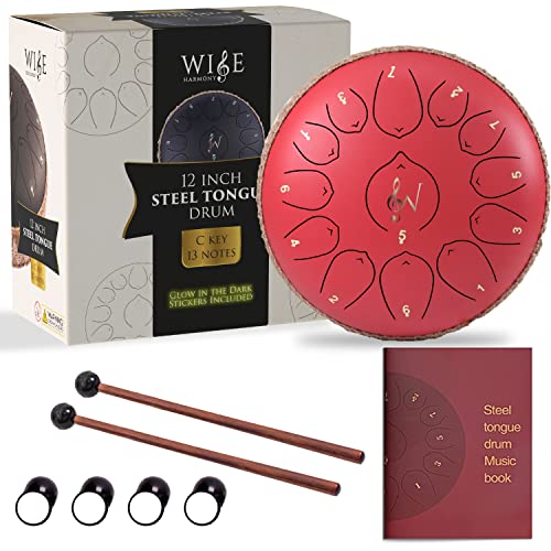 Wise Harmony 12 Inch Steel Tongue Rain Drum