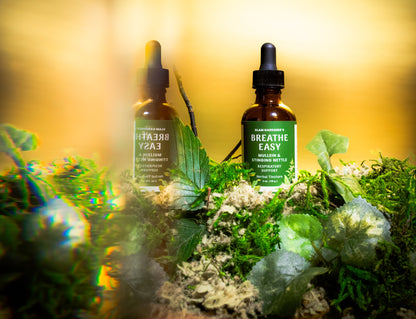 BREATHE EASY | Mullein & Stinging Nettle herbal tincture with organic & wildcrafted ingredients