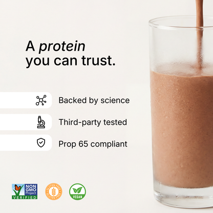 Protein | Chocolate Mousse