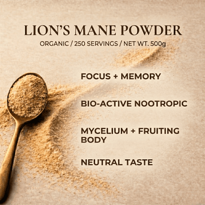 Organic Lion's Mane Mushroom Powder - Vegan America