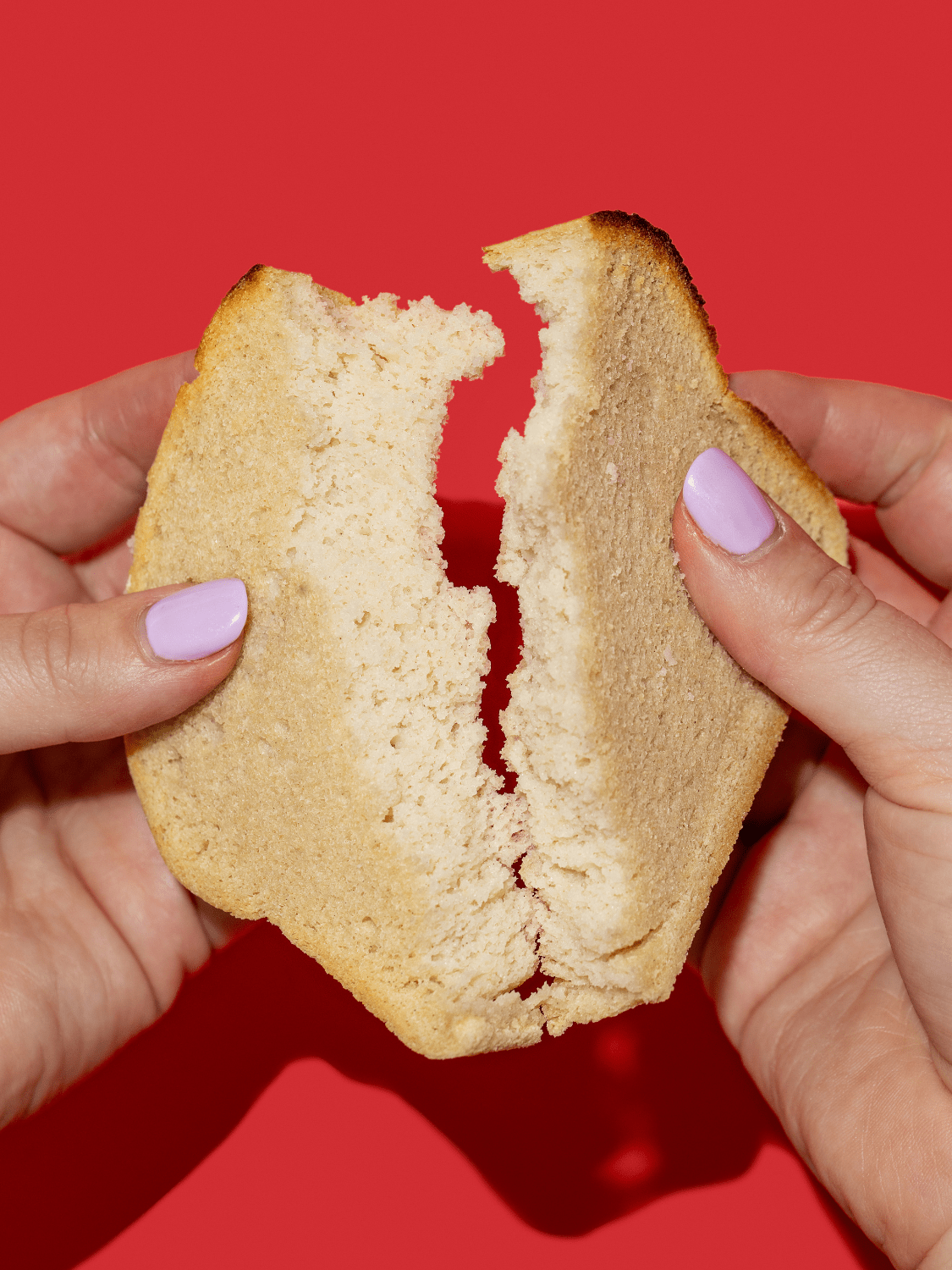 Classic Gluten-Free Sourdough Value Pack (2 XL Loaves) - Vegan America
