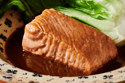 Oshi Plant - Based Salmon Fillets - Vegan America