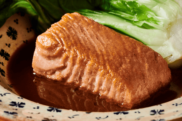 Oshi Plant - Based Salmon Fillets - Vegan America