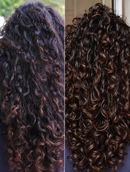 The Condish (Protein Free Conditioner)