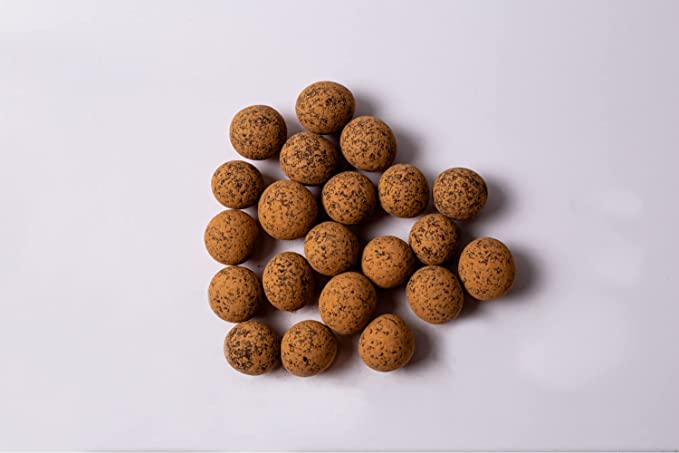 Chocolate Covered Sprouted Hazelnuts - Vegan America
