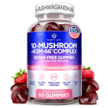 Sugar - Free Mushroom Gummies - 10 Mushroom Complex - Vegan America