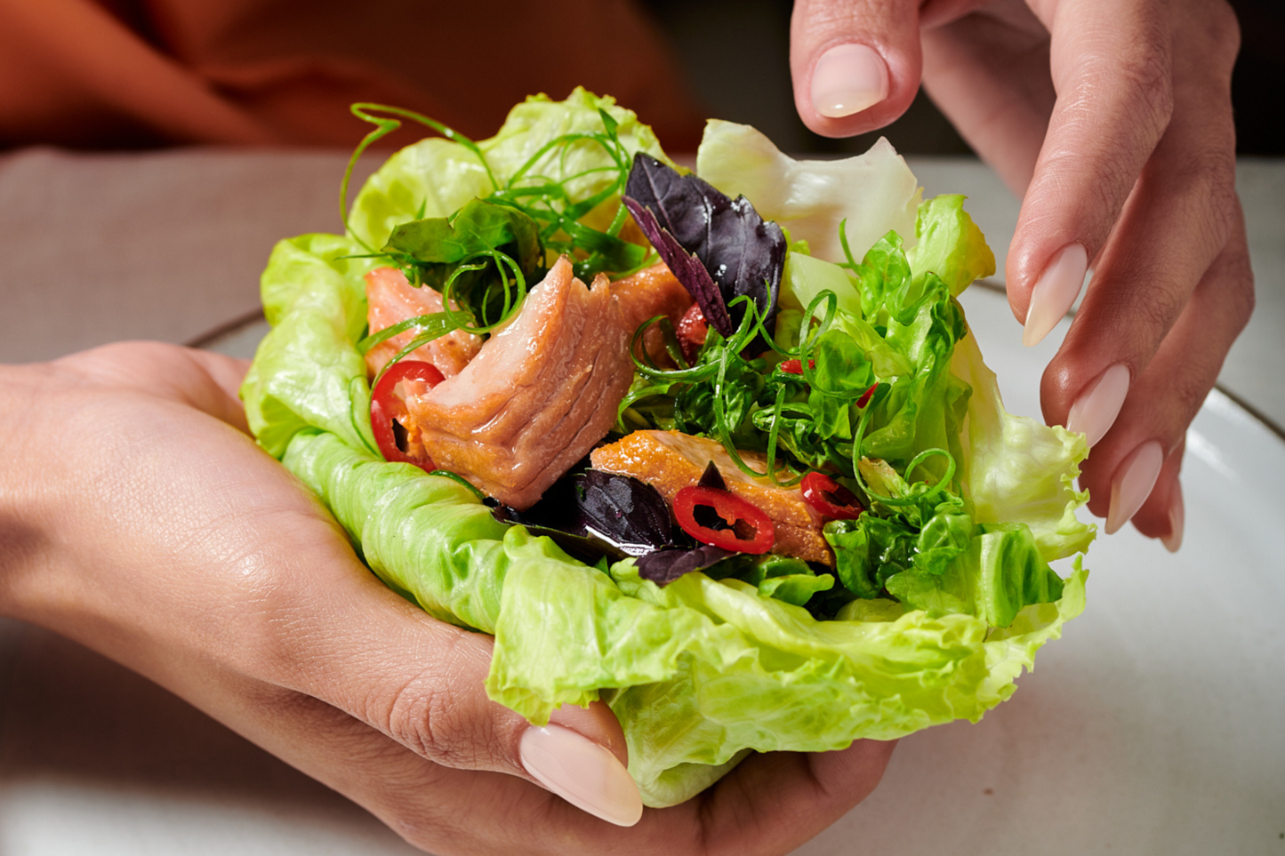 Oshi Plant-Based Salmon Fillets