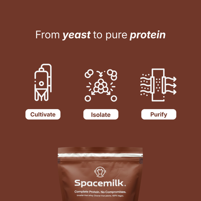 Protein | Chocolate Mousse