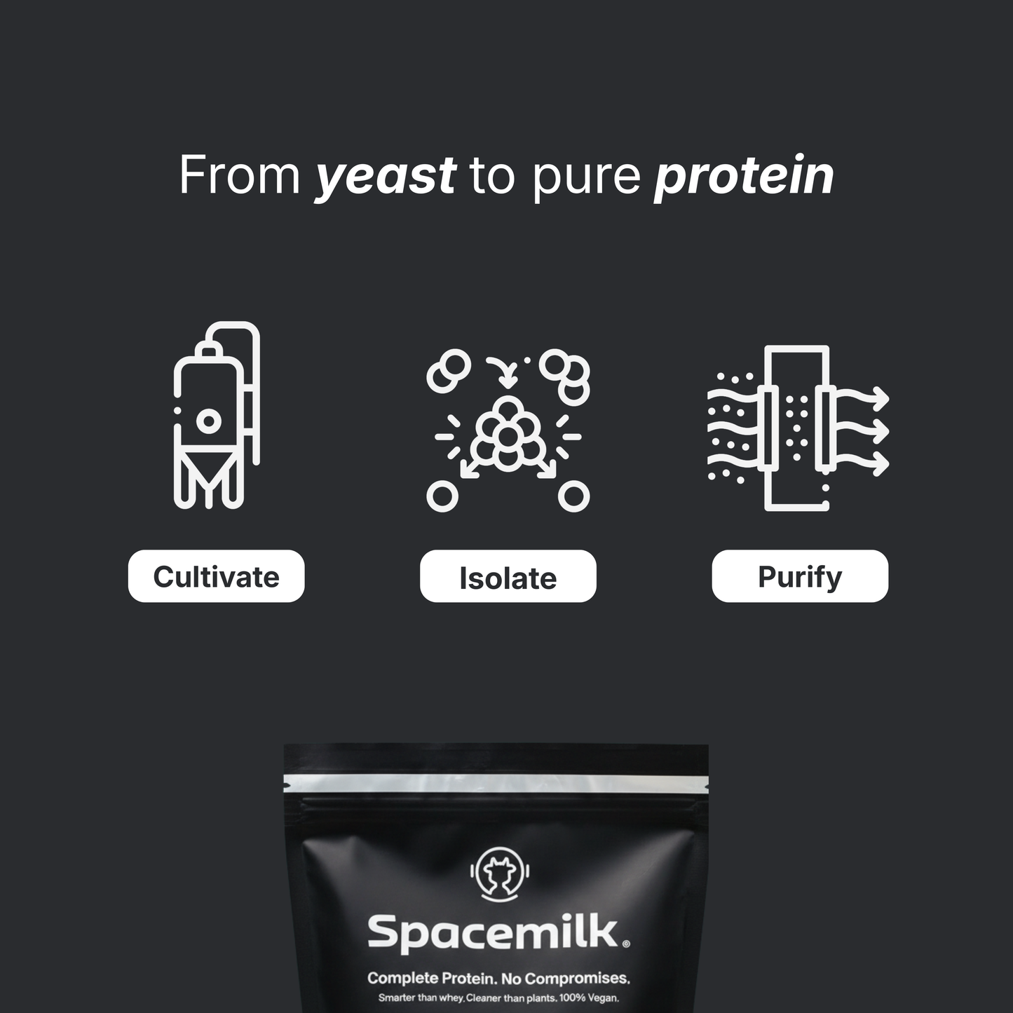Protein | Unflavored
