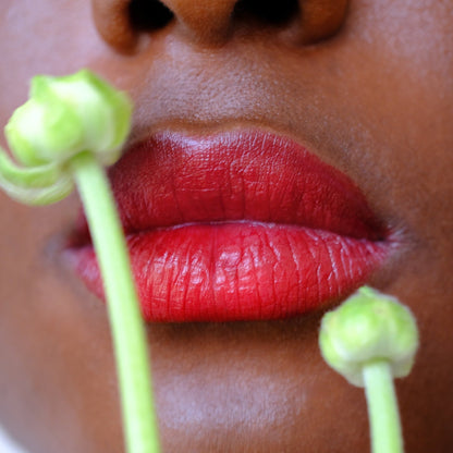 Vegan Multistick Makeup for Cheeks & Lips - Vegan America