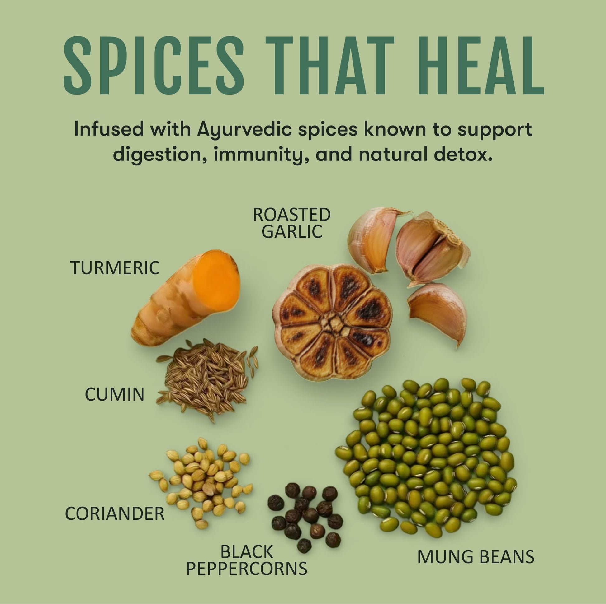 Roasted Garlic & Turmeric Golden Mung Sipping Broth | 9 Cups - Vegan America