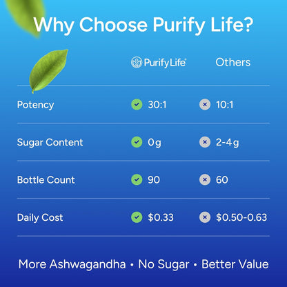 Ashwagandha Gummies for Anxiety & Stress Relief - Vegan Mood Support for Men & Women 90ct - Vegan America