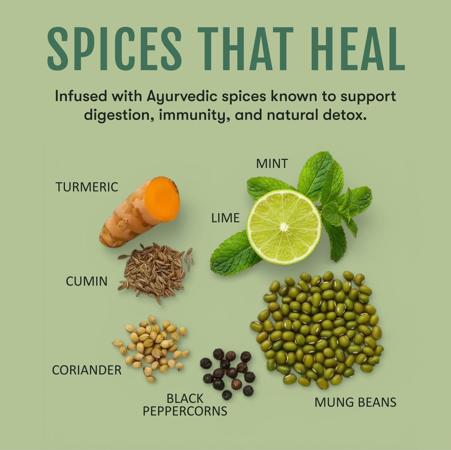 Mint, Lime & Turmeric Golden Mung Sipping Broth | 9 Cups