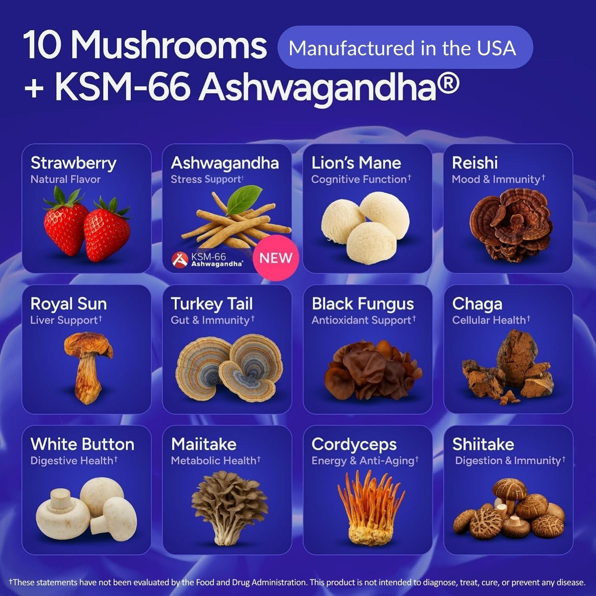 Sugar-Free Mushroom Gummies with KSM 66 Ashwagandha, Natural Stress Support - Vegan America