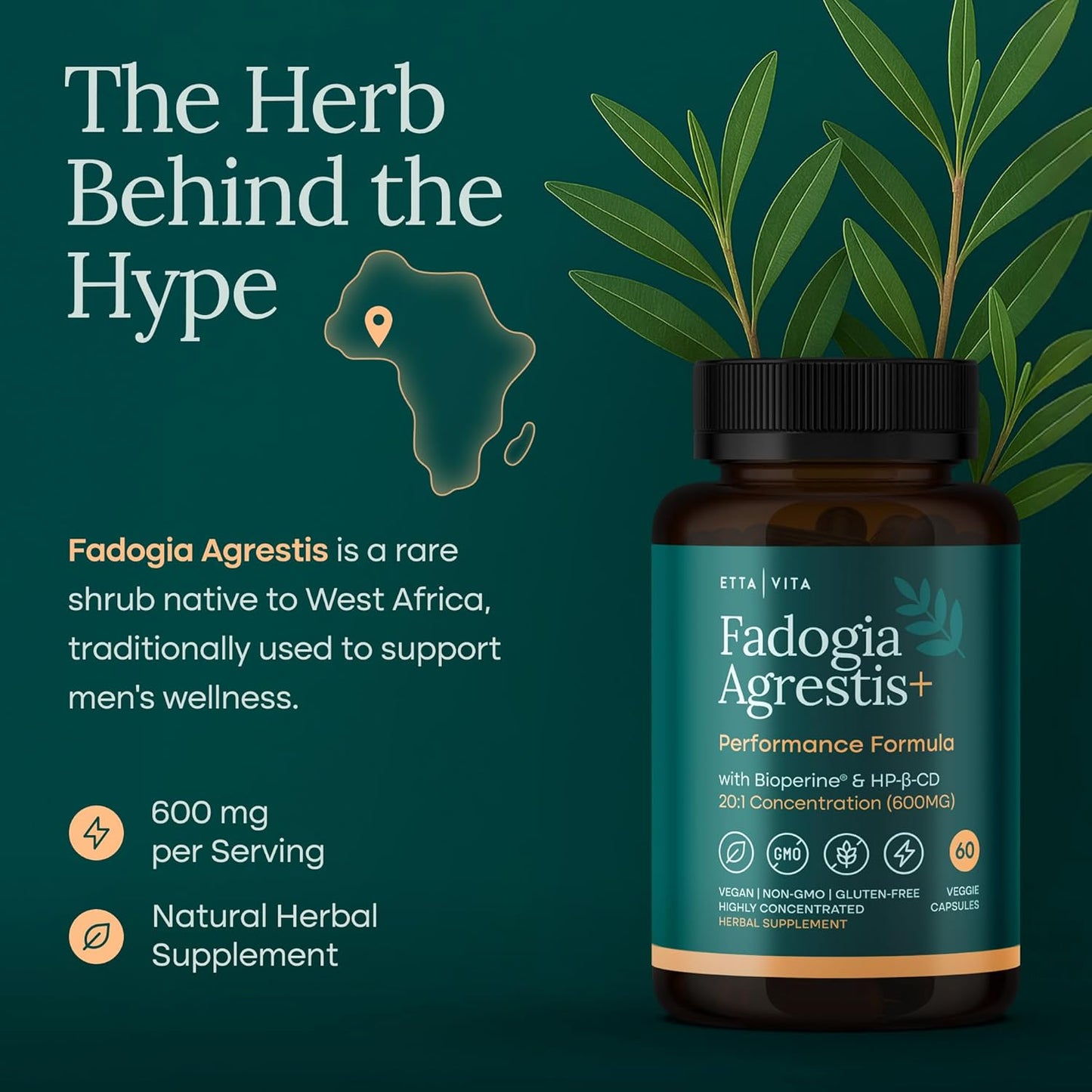 Organic Fadogia Agrestis 600mg for Natural Test Support - Vegan America